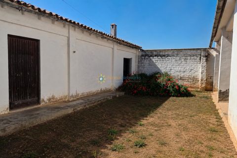 Villa en Cotes, Valencia, Cotes - € 1.200.000 | Ref: PNVL2175 - photo 36